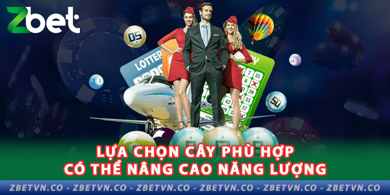 lua-chon-cay-phu-hop-co-the-nang-cao-nang-luong